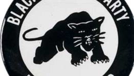 Timeline: Black Panthers