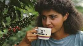 Timeline: Historia del cultivo del cafe