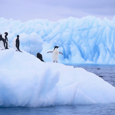 Timeline: Antarctica