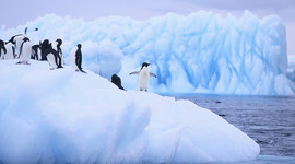 Timeline: Antarctica