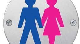 Timeline: Civil Rights Movement: Gender Equality