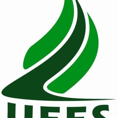 Timeline: Minha Caminhada na Universidade Federal da Fronteira Sul