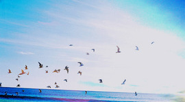 Timeline: Trajetória acadêmica UFFS 2012 á 2015