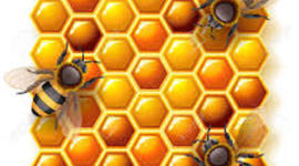 Timeline: La Educación a Distancia - en Entornos Virtuales