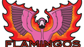 Timeline: History Time Line