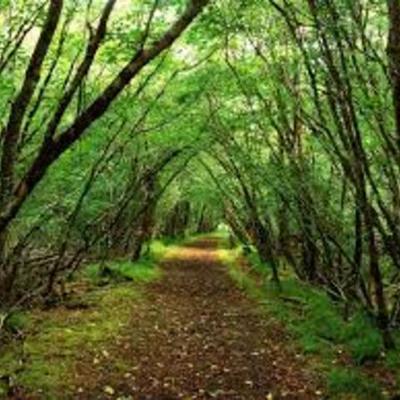 Timeline: British Literature Timeline