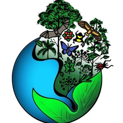 Timeline: Minha trajetória acadêmica  na Universidade Federal da Fronteira Sul