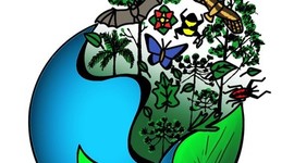 Timeline: Minha trajetória acadêmica  na Universidade Federal da Fronteira Sul