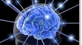 Timeline: Evolução da Psicologia