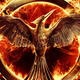 The hunger games mockingjay wide