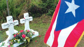 Timeline: El Cerro Maravilla