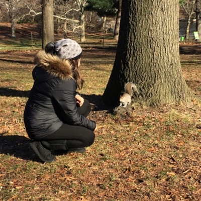 Timeline: Livia Hartmann Giordani