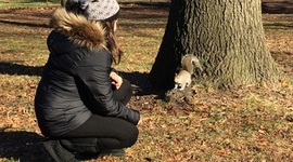 Timeline: Livia Hartmann Giordani