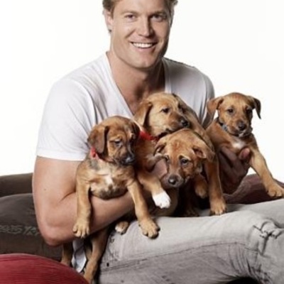 Timeline: DR CHRIS BROWN