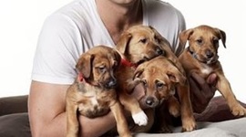 Timeline: DR CHRIS BROWN