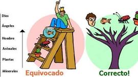 Timeline: Orígenes de la Clasificación de Seres Vivos