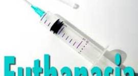 Timeline: history of euthanasia