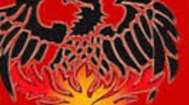 Timeline: PMA Softball