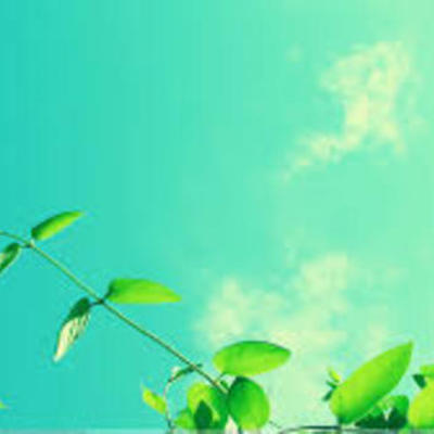 Timeline: Erikson's Lifespan Holley