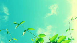 Timeline: Erikson's Lifespan Holley