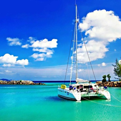 Timeline: El proyecto de Español