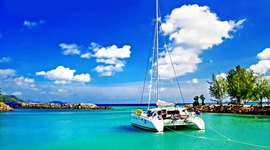 Timeline: El proyecto de Español