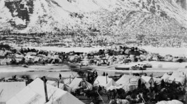 Timeline: Naturalism by: Holly Danielson