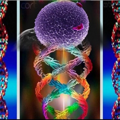 Timeline: Descubrimientos del DNA