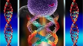 Timeline: Descubrimientos del DNA