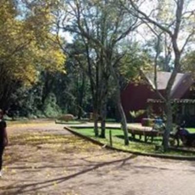 Timeline: Minha linha do tempo academica *-*