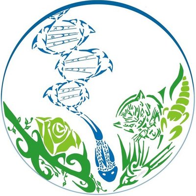 Timeline: Tragetória Acadêmica UFFS