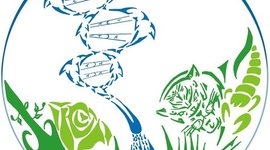 Timeline: Tragetória Acadêmica UFFS