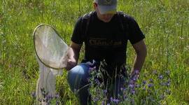 Timeline: Um sonho quase realizado - Minha trajetória acadêmica no Curso de Ciências Biológicas da UFFS