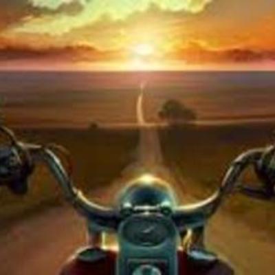 Timeline: Trajetória acadêmica Carla  Welter