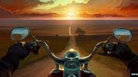 Timeline: Trajetória acadêmica Carla  Welter