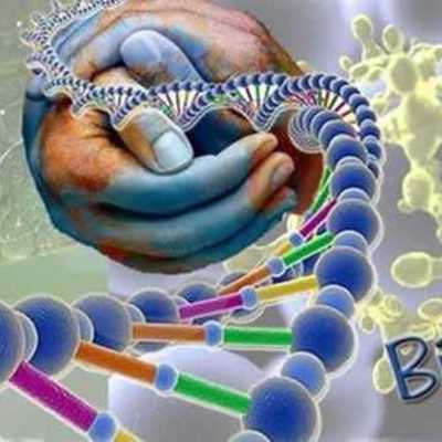 Timeline: paulo uffs