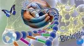 Timeline: paulo uffs