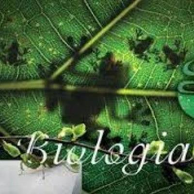 Timeline: Tragetória Academica na Uffs