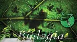 Timeline: Tragetória Academica na Uffs