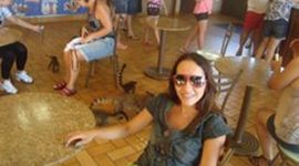 Timeline: Minha Trajetória na UFFS