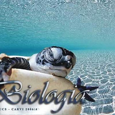 Timeline: Minha Trajetória na UFFS