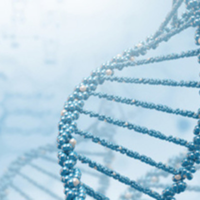 Timeline: Prática de Ensino V