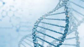 Timeline: Prática de Ensino V