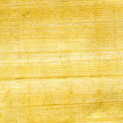 Timeline: Los 15 libros mas destacados de la literatura Mundial