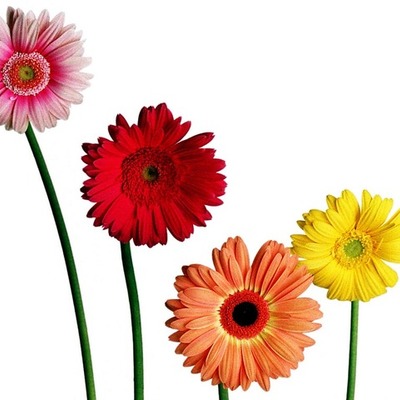 Timeline: Крамарь