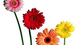 Timeline: Крамарь