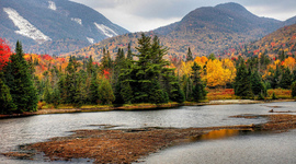 Timeline: Nature in American Art (1850-1880)