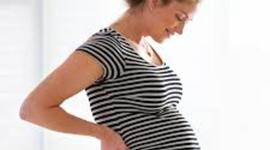 Timeline: Prenatal Development