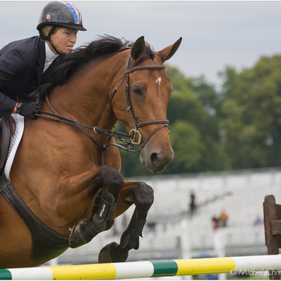 Timeline: Life and Career of Beezie Madden