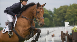 Timeline: Life and Career of Beezie Madden